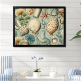 Vintage Seashell Treasures - Seashell Wall Art Prints
