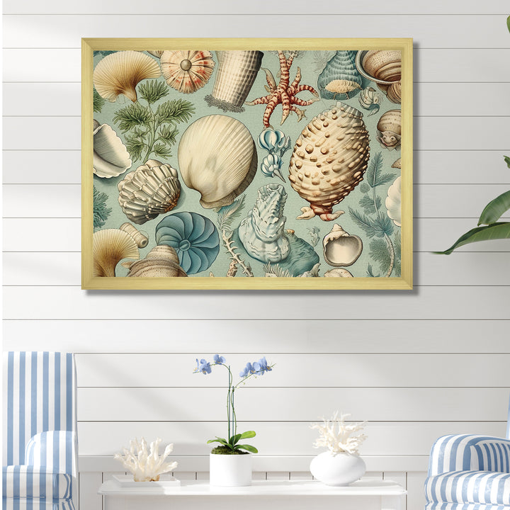 Vintage Seashell Treasures - Seashell Wall Art Prints