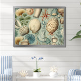 Vintage Seashell Treasures - Seashell Wall Art Prints