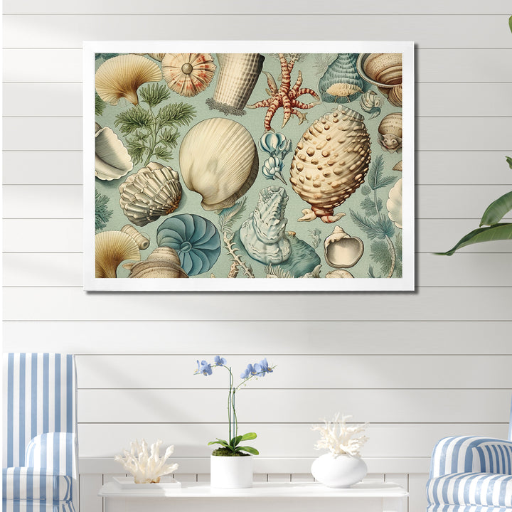 Vintage Seashell Treasures - Seashell Wall Art Prints