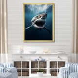 Blue Shark Apex Predator Photo - Blue Shark Wall Art