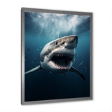 Blue Shark Apex Predator Photo - Blue Shark Wall Art