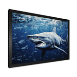 Bull Shark Depths Photography - Shark Framed Canvas Art