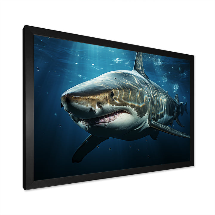 Oceans Blue Ghost Shark Photography - Shark Wall Decor