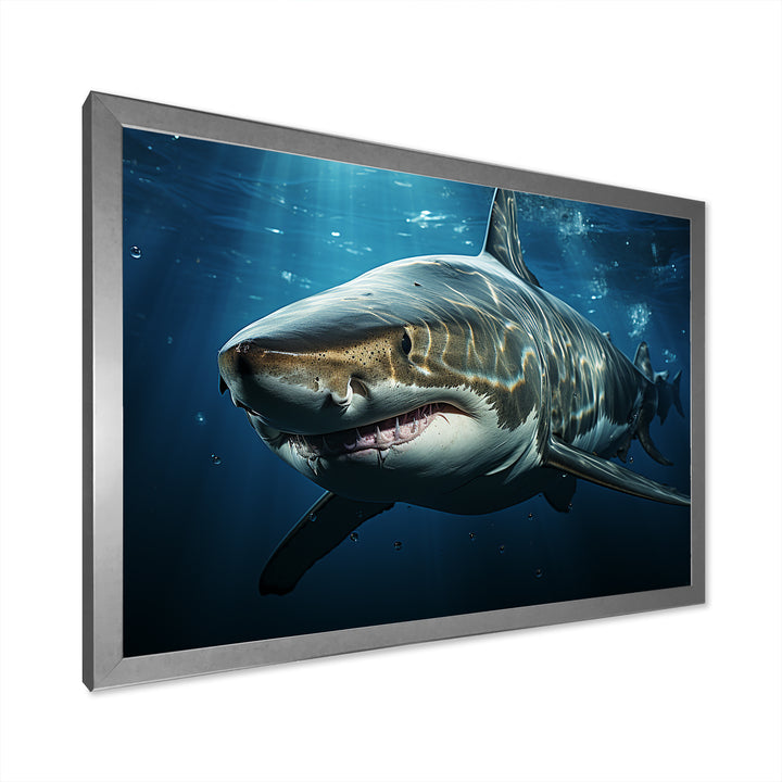 Oceans Blue Ghost Shark Photography - Shark Wall Decor