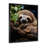 Rustic Repose Sloth - Sloth Canvas Wall Art