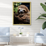 Rustic Repose Sloth - Sloth Canvas Wall Art