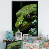 Coiled Emerald Snake - Snake Wall Decor