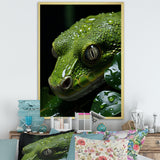 Coiled Emerald Snake - Snake Wall Decor