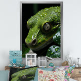 Coiled Emerald Snake - Snake Wall Decor