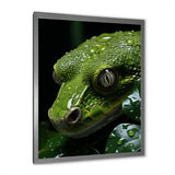 Coiled Emerald Snake - Snake Wall Decor