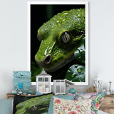 Coiled Emerald Snake - Snake Wall Decor