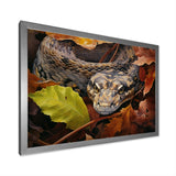 Foliage Slytherin Autumn Snakes - Brown Snake Wall Art