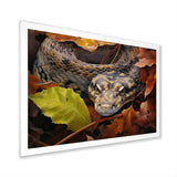 Foliage Slytherin Autumn Snakes - Brown Snake Wall Art