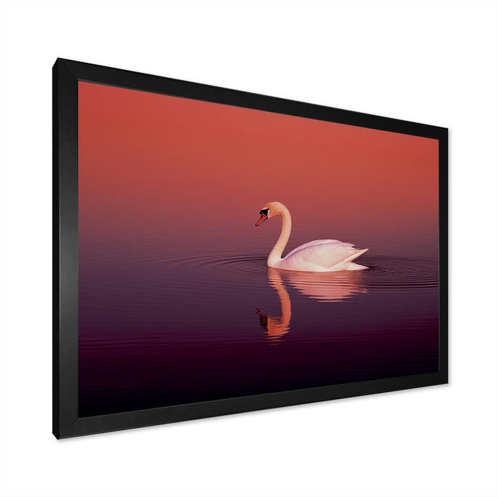 Coral Swan At Dusk - Swans Canvas Wall Art