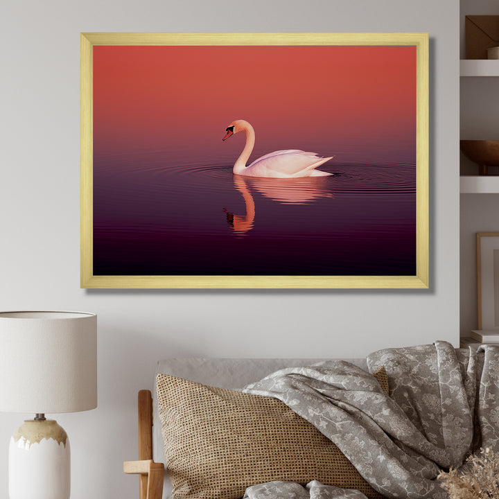 Coral Swan At Dusk - Swans Canvas Wall Art