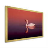Coral Swan At Dusk - Swans Canvas Wall Art