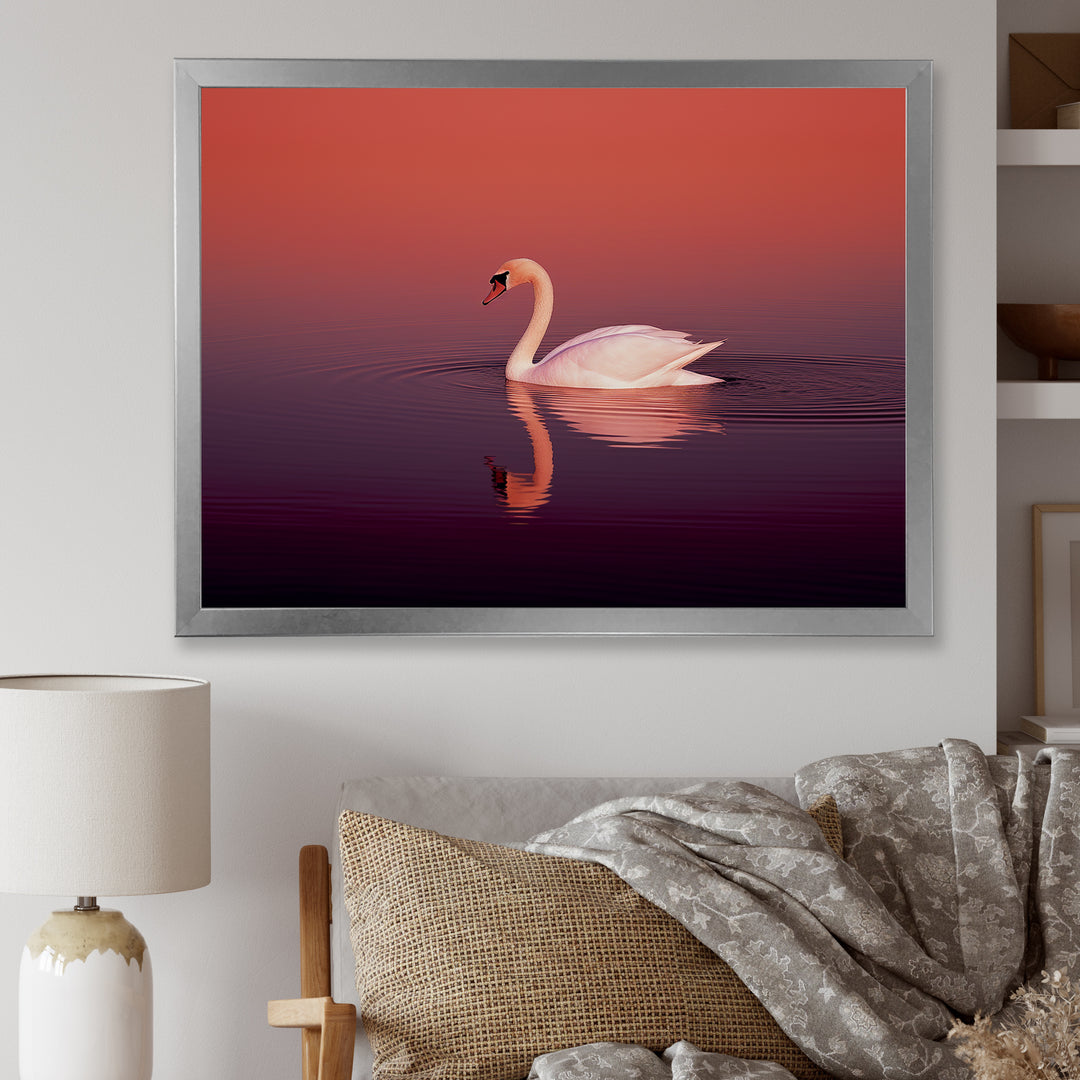 Coral Swan At Dusk - Swans Canvas Wall Art