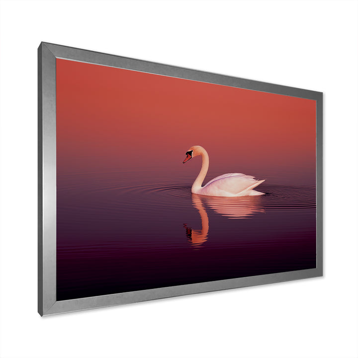 Coral Swan At Dusk - Swans Canvas Wall Art