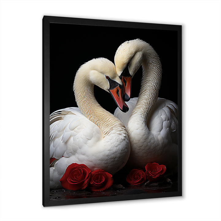 Swans Romantic Portrait - Swans Framed Canvas Art