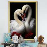 Swans Romantic Portrait - Swans Framed Canvas Art