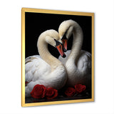 Swans Romantic Portrait - Swans Framed Canvas Art