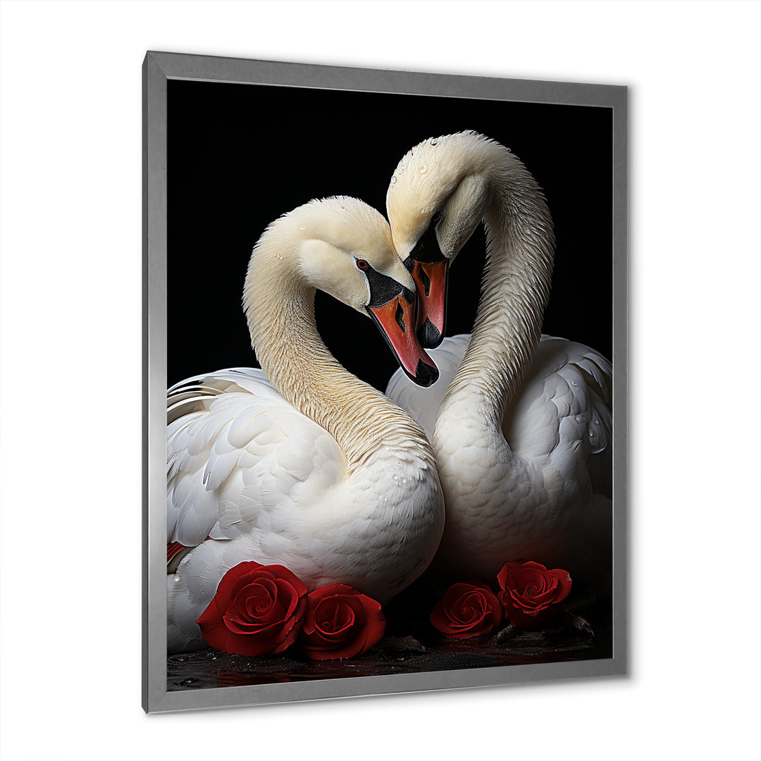 Swans Romantic Portrait - Swans Framed Canvas Art