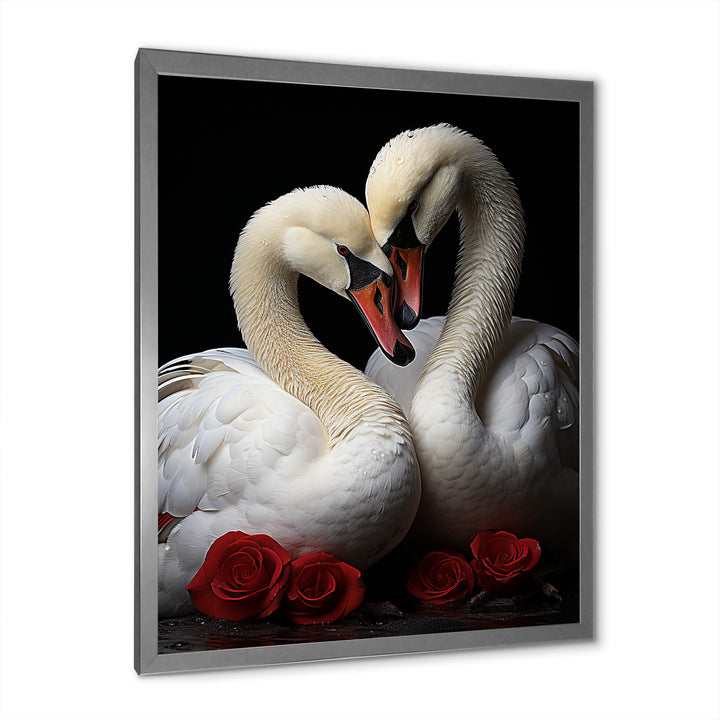 Swans Romantic Portrait - Swans Framed Canvas Art