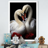 Swans Romantic Portrait - Swans Framed Canvas Art