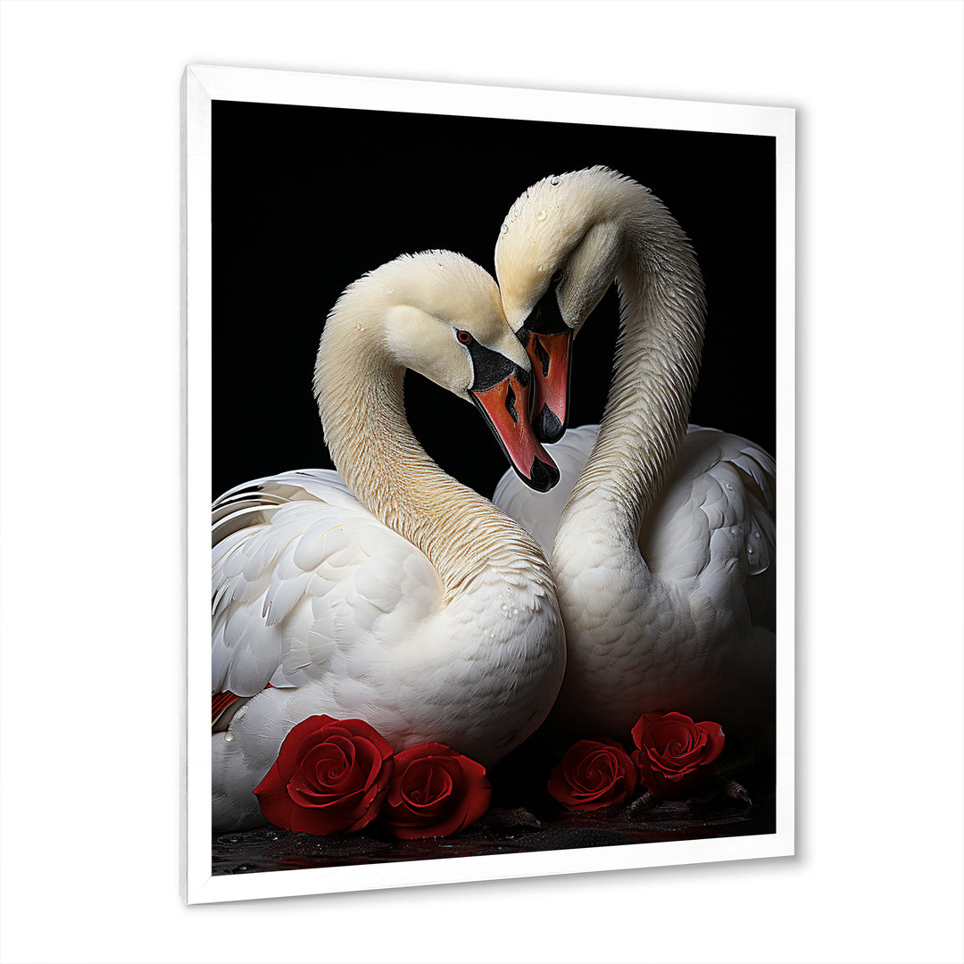 Swans Romantic Portrait - Swans Framed Canvas Art