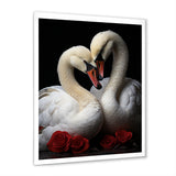 Swans Romantic Portrait - Swans Framed Canvas Art