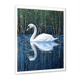 Swans Reflection By The River - Swans Canvas Wall Art