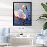 Swans Serenity Photo - Swans Wall Decor