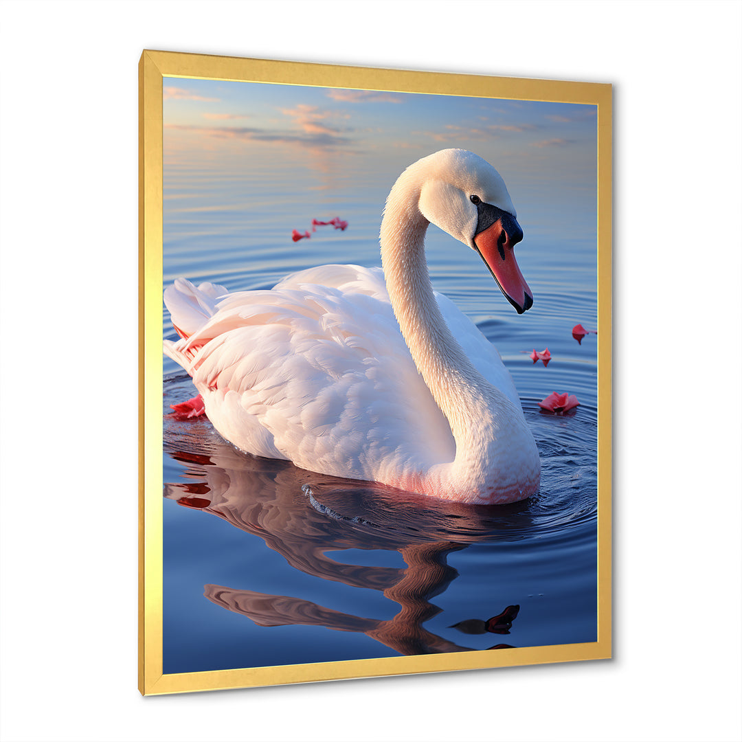 Swans Serenity Photo - Swans Wall Decor