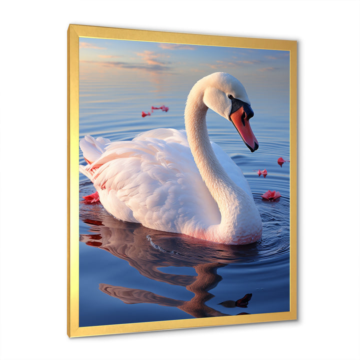 Swans Serenity Photo - Swans Wall Decor