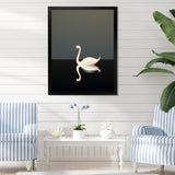 Swans Solitude In Black And White - Swans Wall Art Prints