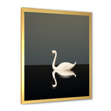 Swans Solitude In Black And White - Swans Wall Art Prints