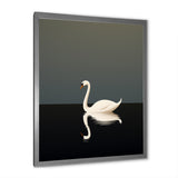 Swans Solitude In Black And White - Swans Wall Art Prints