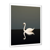 Swans Solitude In Black And White - Swans Wall Art Prints