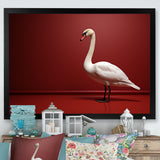 Swans Solitude In Red And White - Red Swans Wall Art