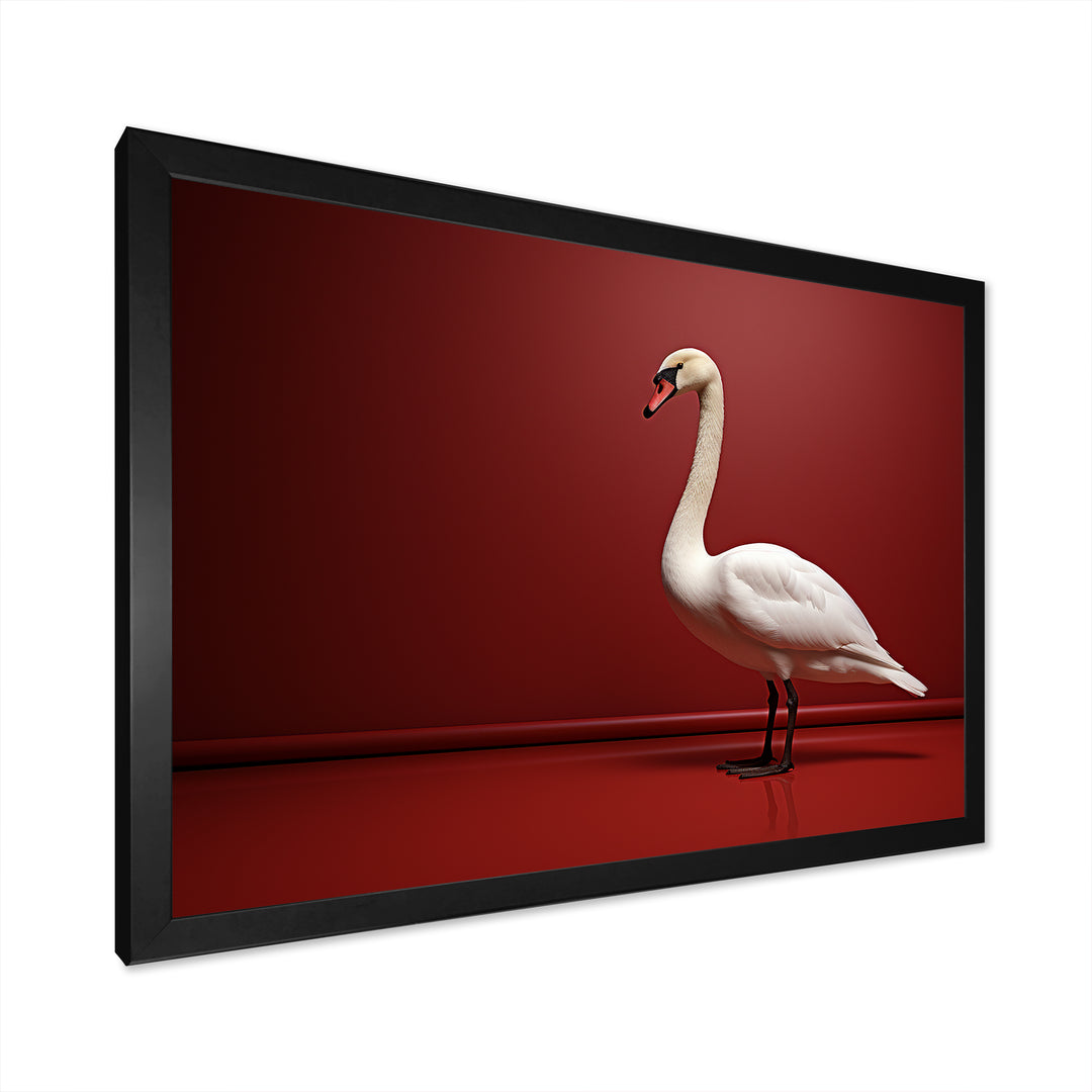 Swans Solitude In Red And White - Red Swans Wall Art