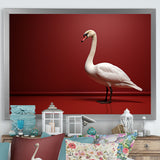 Swans Solitude In Red And White - Red Swans Wall Art