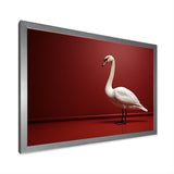 Swans Solitude In Red And White - Red Swans Wall Art