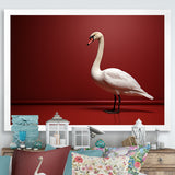 Swans Solitude In Red And White - Red Swans Wall Art