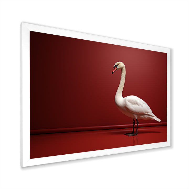 Swans Solitude In Red And White - Red Swans Wall Art