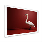 Swans Solitude In Red And White - Red Swans Wall Art