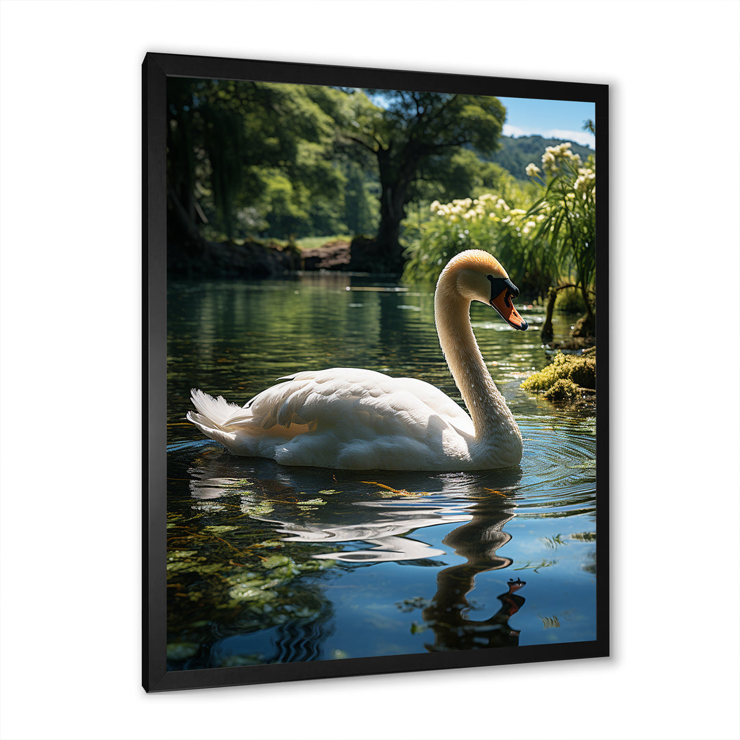 Swans Refuge In Tropical Lake - Swans Canvas Wall Art