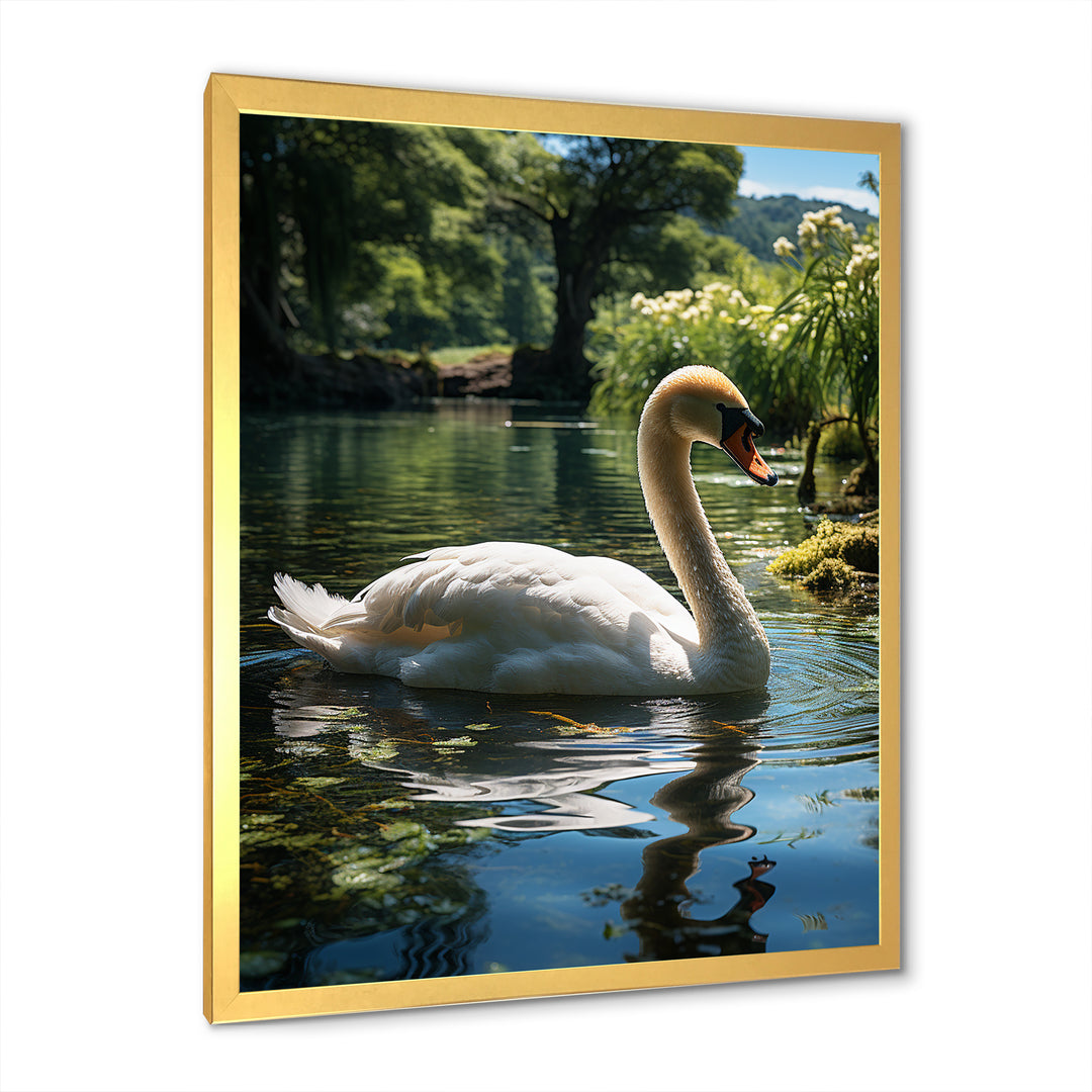Swans Refuge In Tropical Lake - Swans Canvas Wall Art