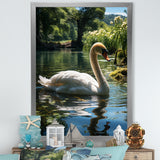 Swans Refuge In Tropical Lake - Swans Canvas Wall Art