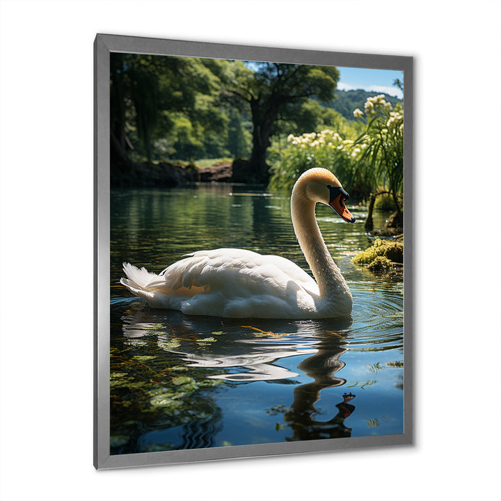 Swans Refuge In Tropical Lake - Swans Canvas Wall Art